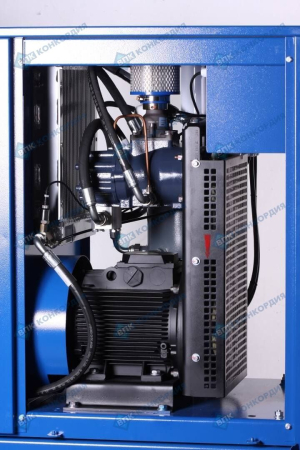 Винтовой компрессор Remeza ВК10Е-10-500Д фото